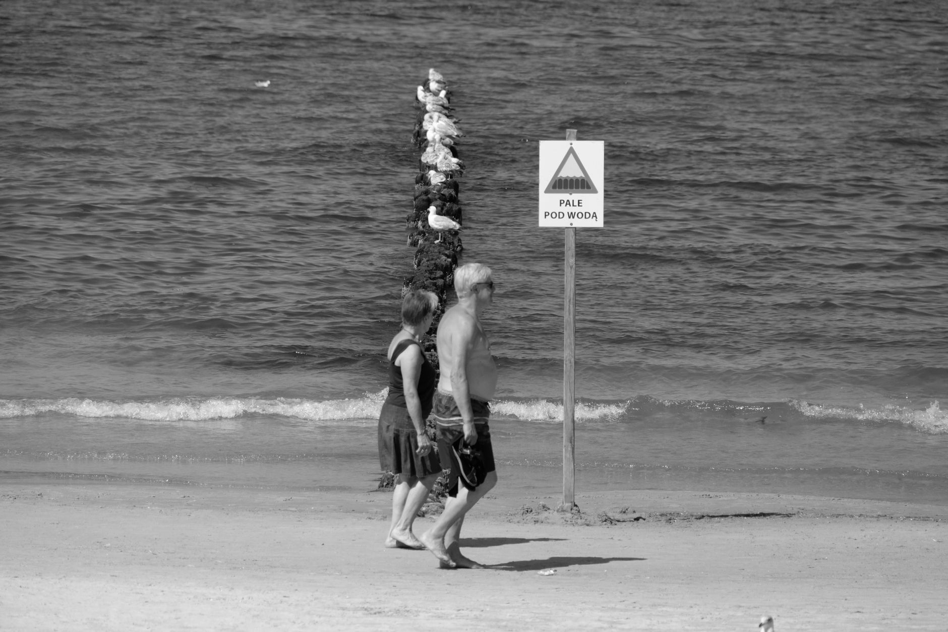 Black and white photo of people walking on a beach with seagulls and a warning sign.