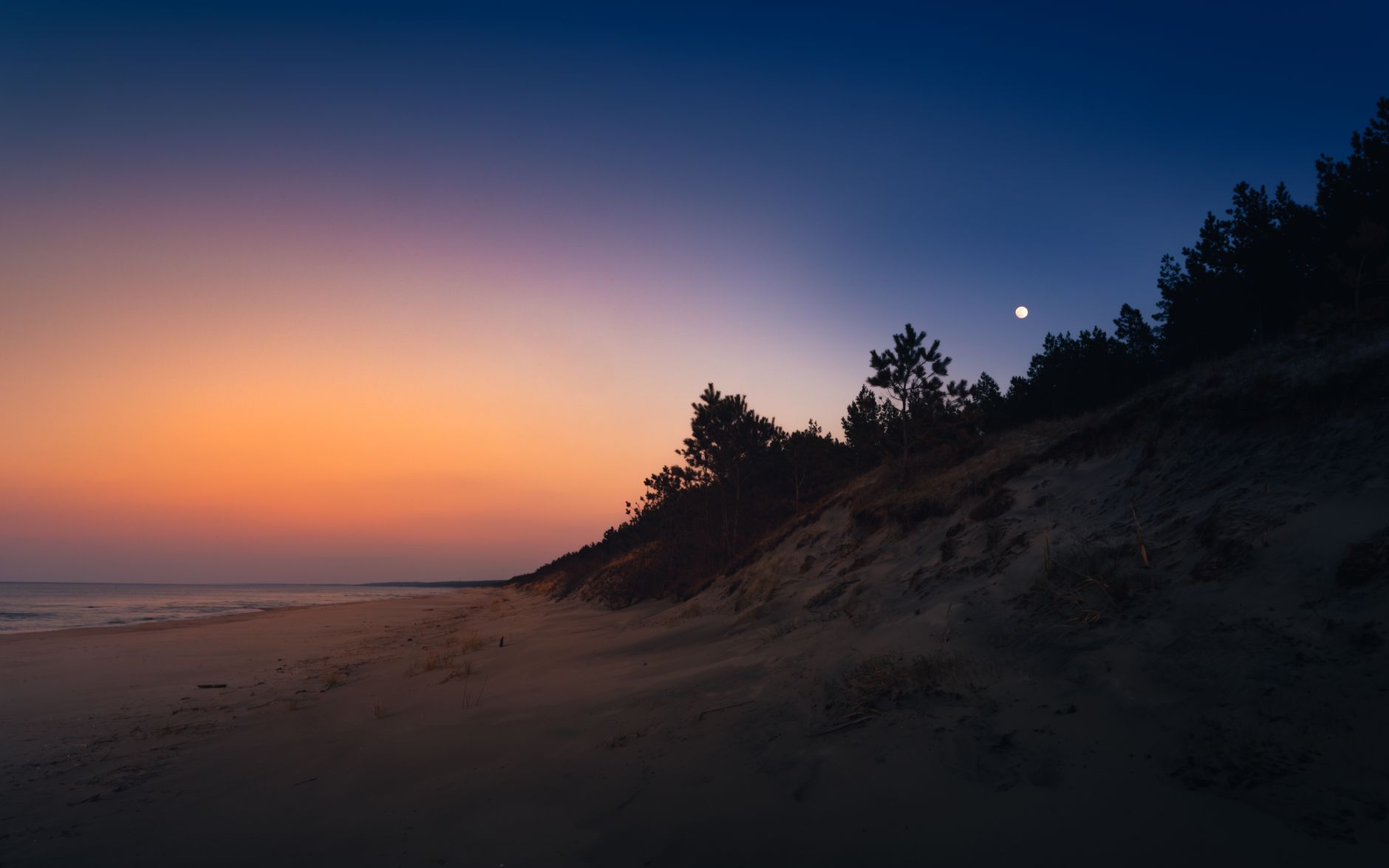 A serene beach landscape at sunset with a full moon and silhouetted trees. Perfect for nature and travel themes.