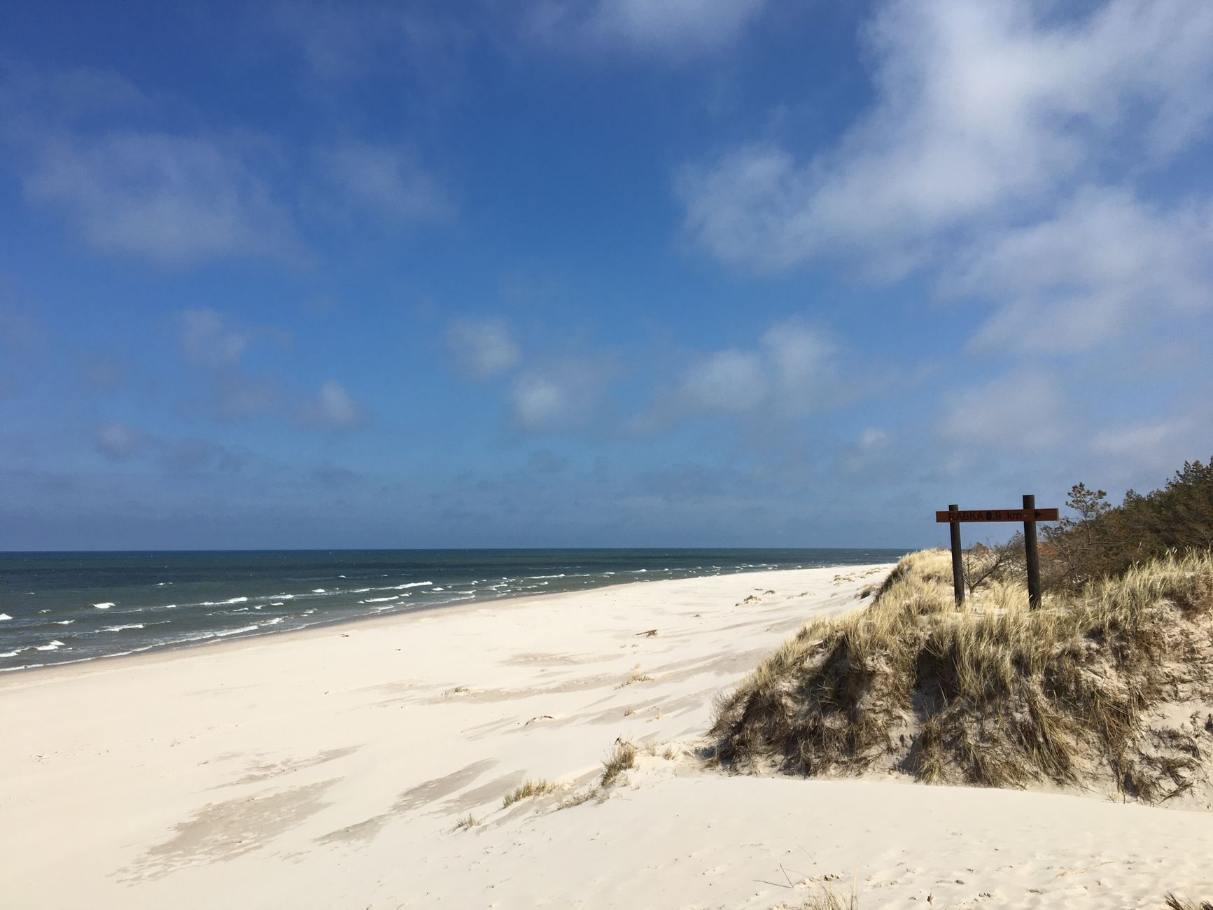 Peaceful view of Łeba dunes and pristine beach under a blue sky in Poland.