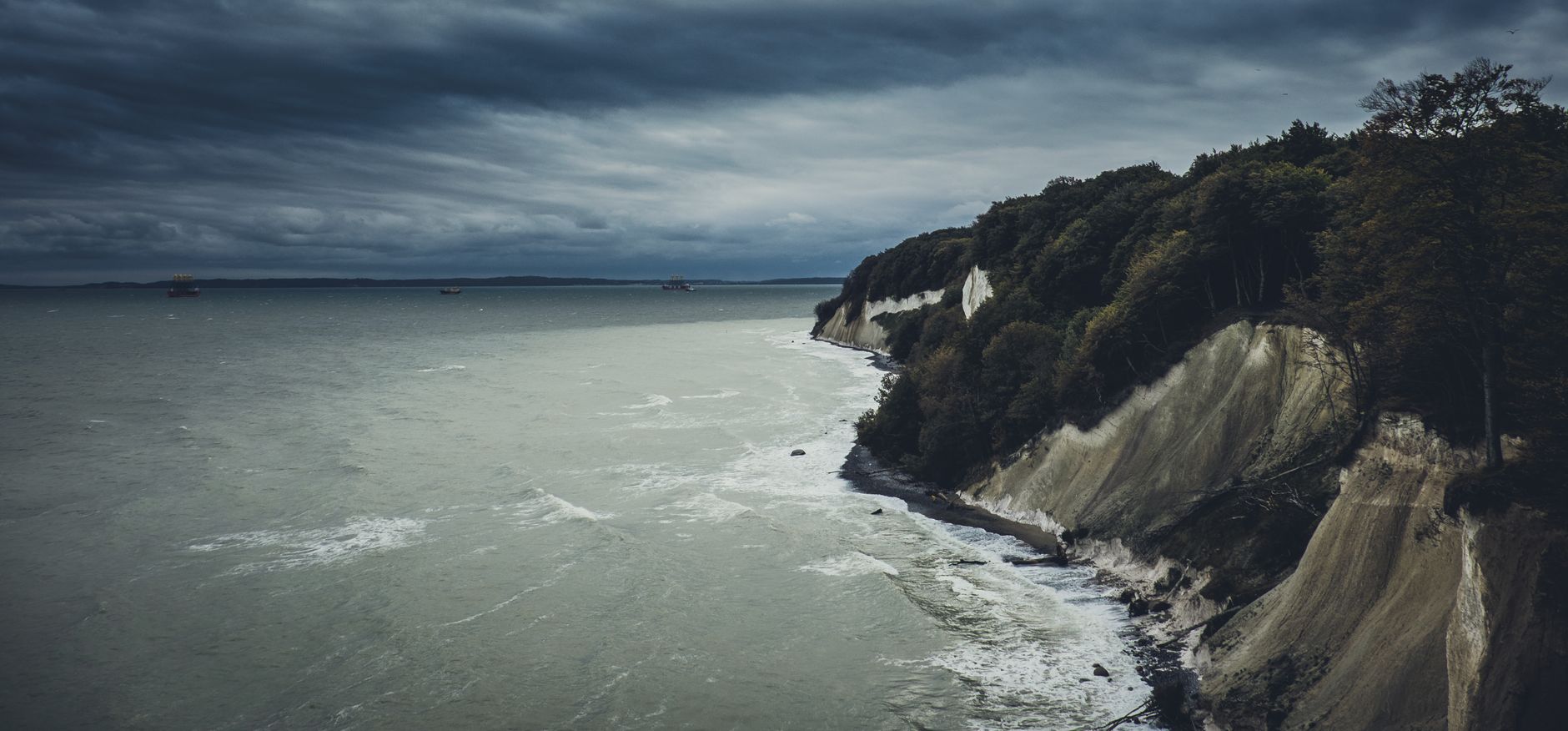 Moody view of Baltic Sea cliffs with lush forest in autumn.