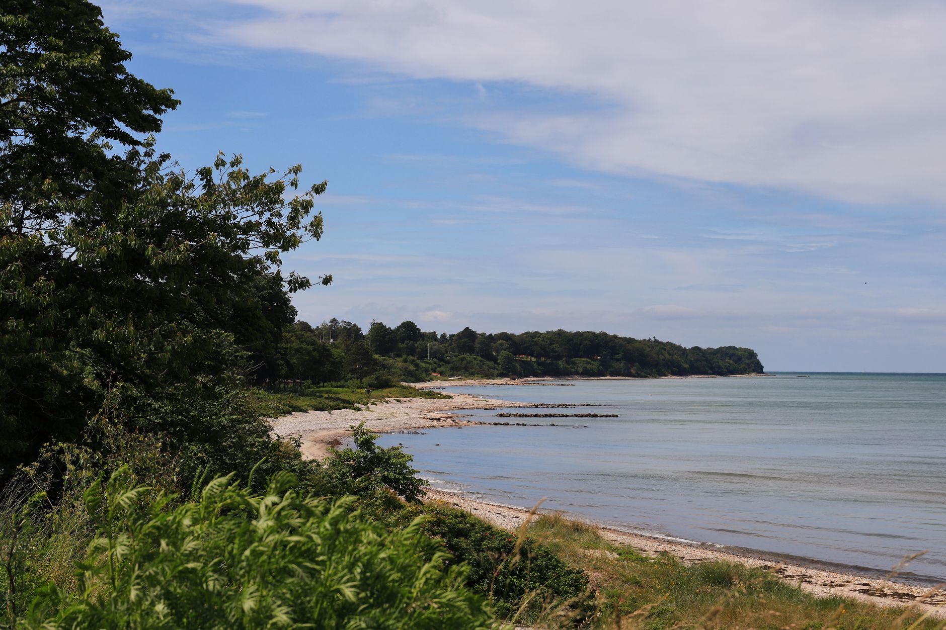Explore the serene beauty of a Danish seaside landscape with lush greenery and gentle waves.
