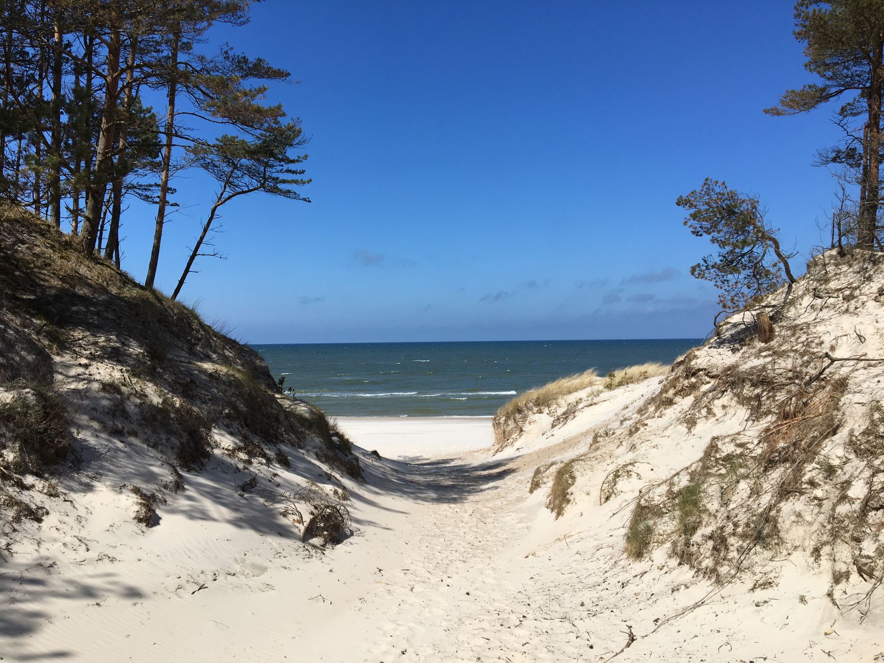 Discover tranquility with this beautiful view of Leba Beach, framed by sandy dunes and clear blue skies.
