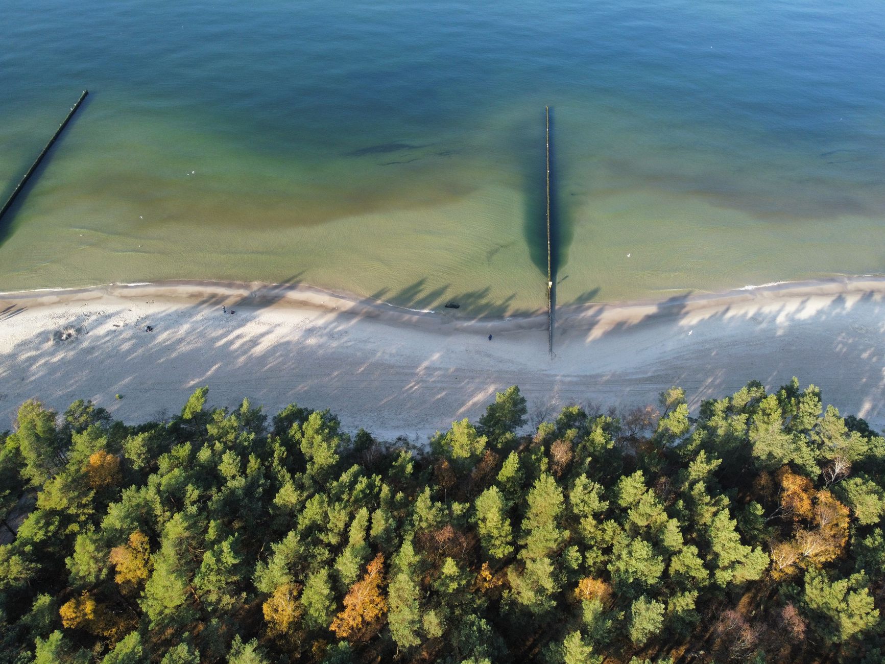 Stunning aerial image of Kołobrzeg beach with its emerald waters and lush greenery.