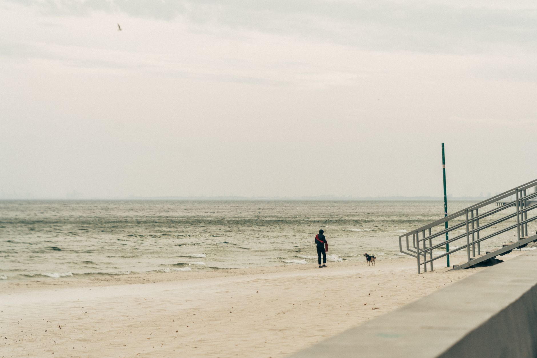 A person walks their dog along a cloudy beach in Gdynia, Poland. Tranquil scene with cloudy skies.