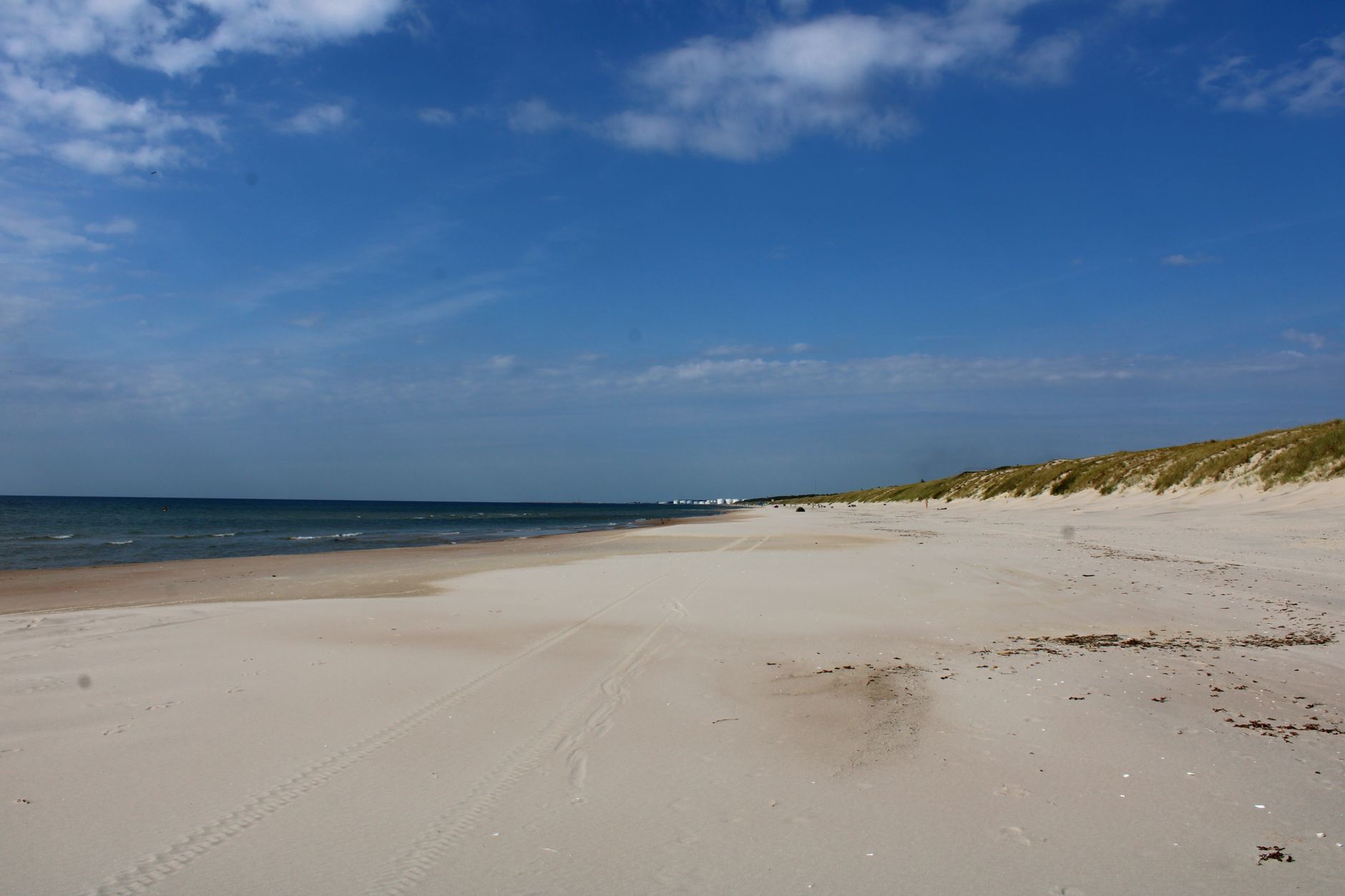 Tranquil sandy beach in Klaipėda, Lithuania on a sunny day with a clear blue sky.