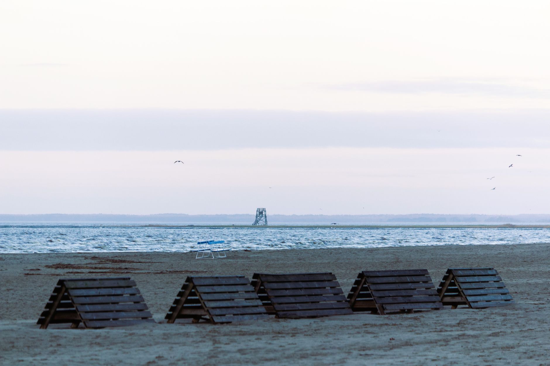 Empty beach with benches and birds flying over the Baltic Sea on a cloudy, early winter day.