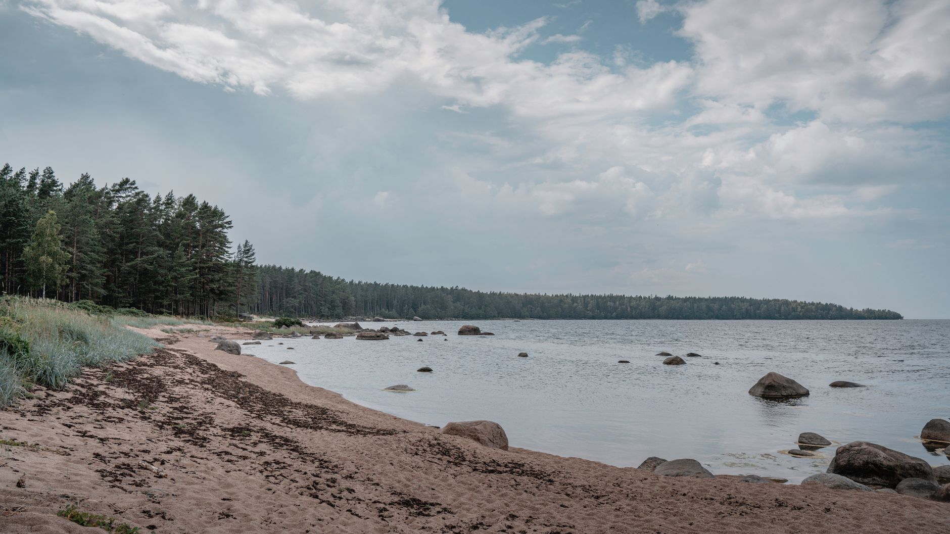 Tranquil beach view with forest backdrop in Käsmu, Estonia. Perfect for serene nature themes.