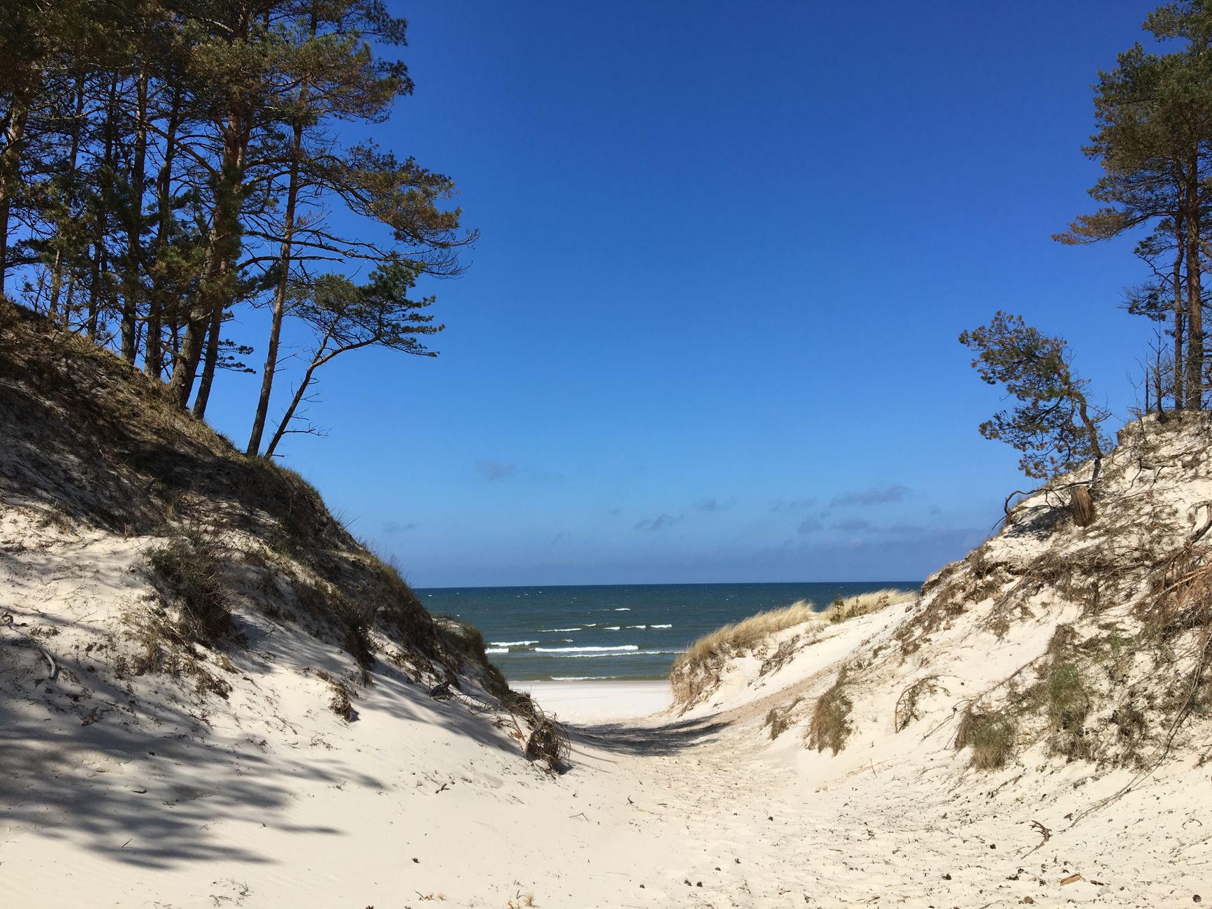 Explore the scenic sandy dunes leading to the Baltic Sea in Łeba, Poland.