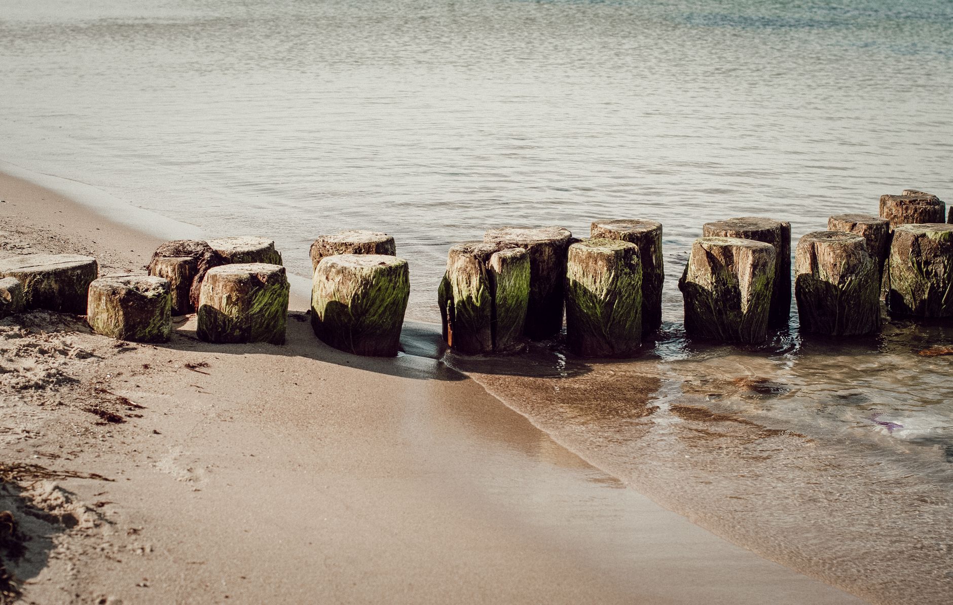Footpath made of stubs located on sandy seashore and sea with rippling water