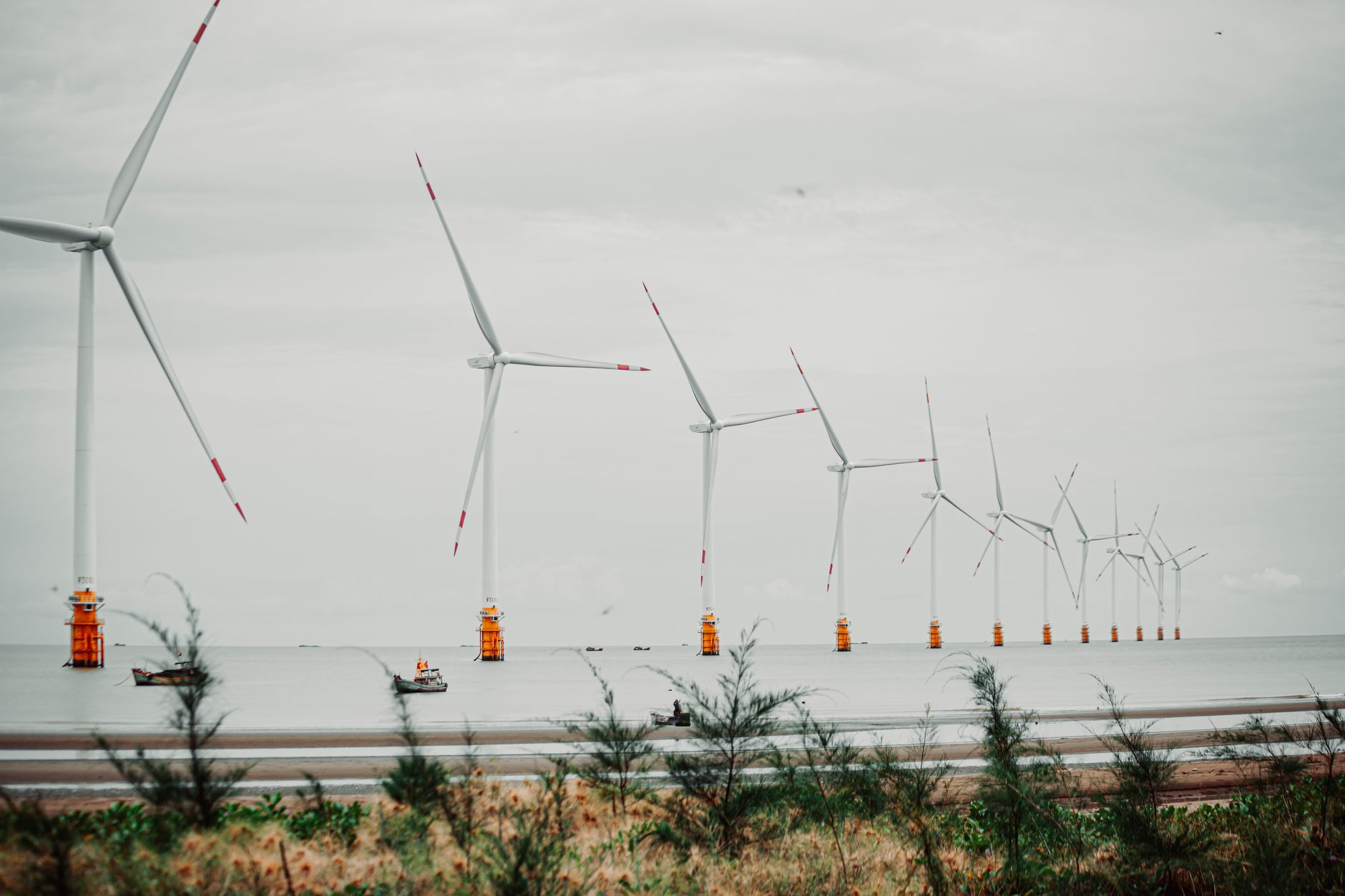 Scenic view of offshore wind turbines lined up in calm sea setting with vegetation in foreground.
