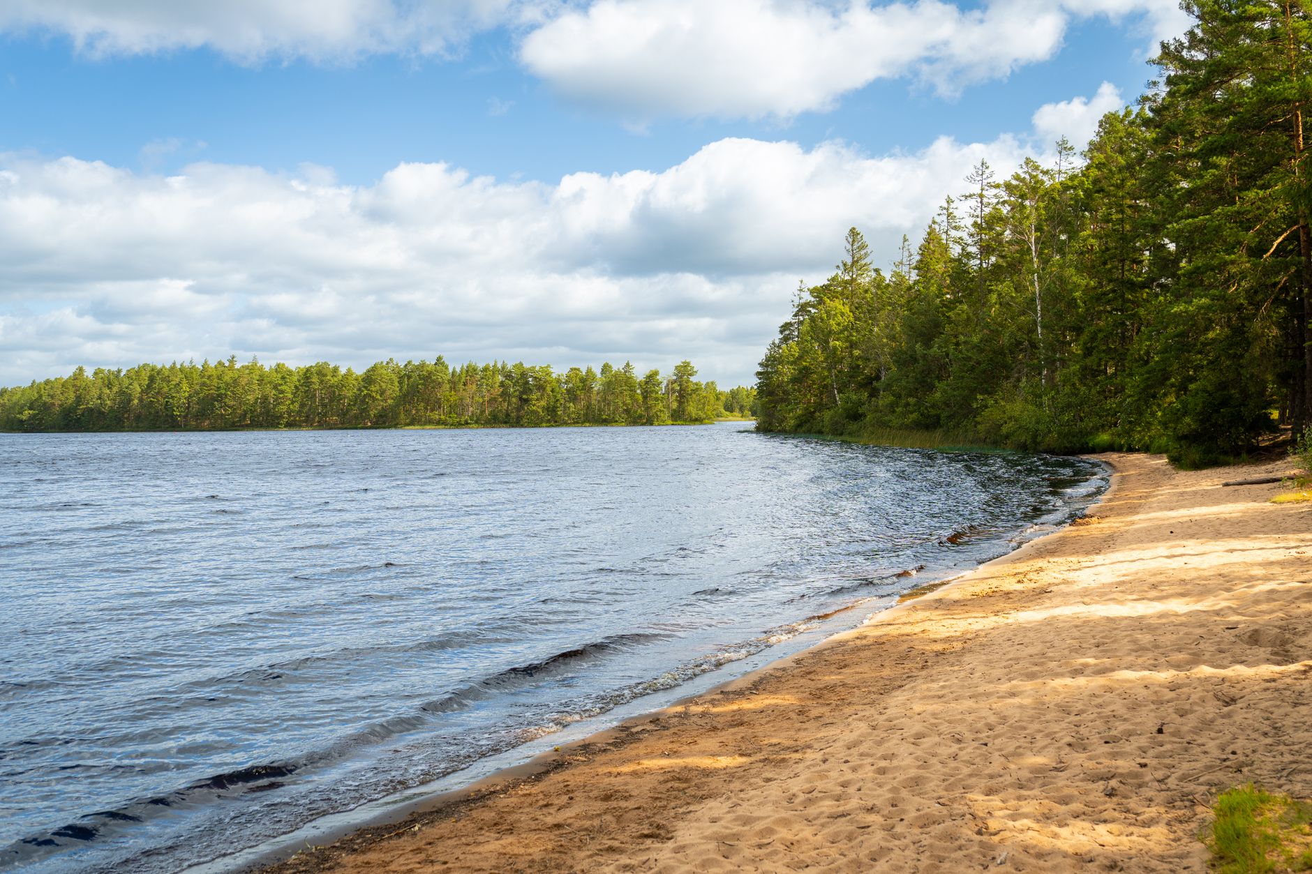 A tranquil lakeside view with sandy beach and green forest under a bright sky.