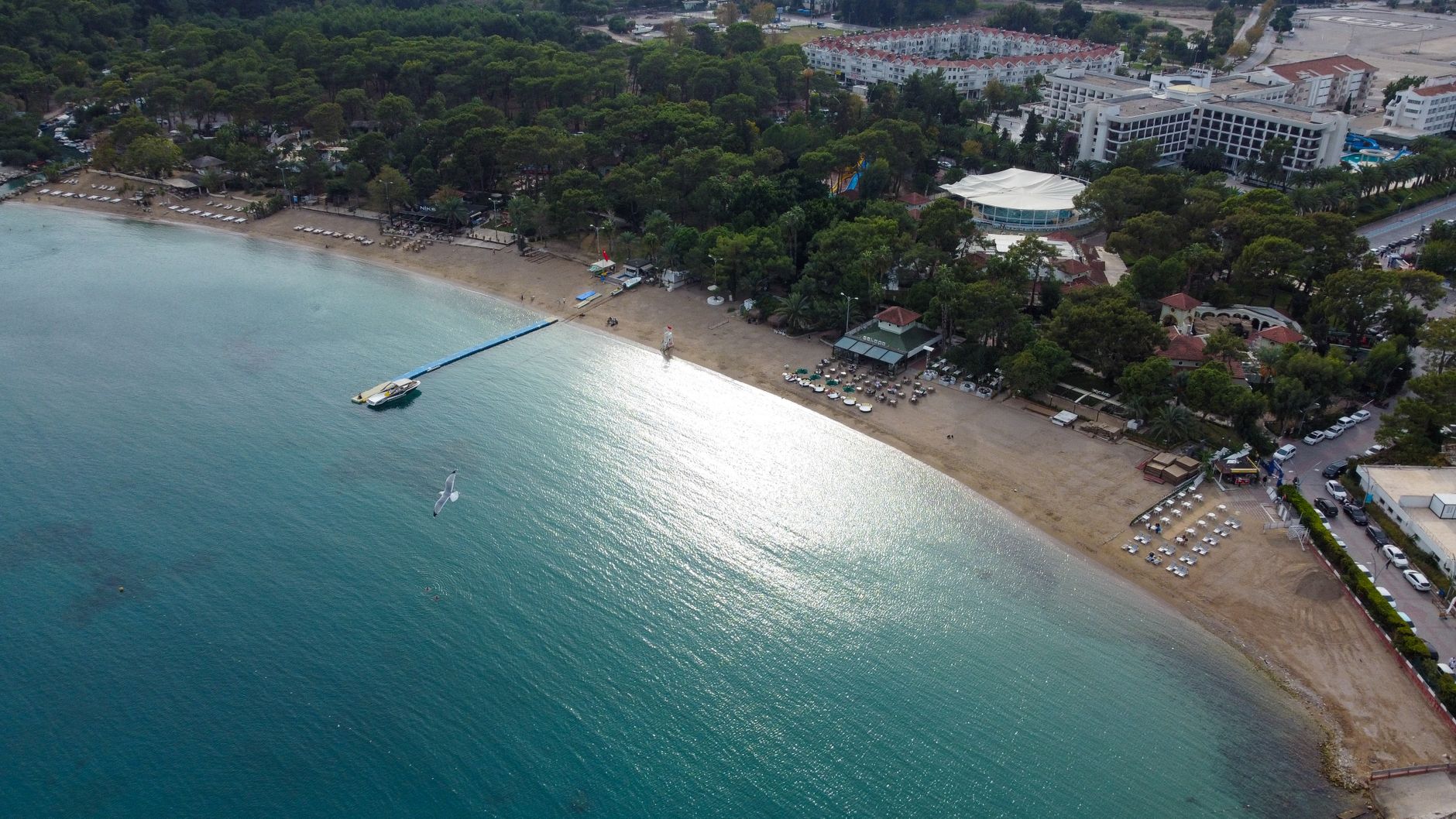 Drone shot of a serene beachfront with lush green forest and urban town nearby.