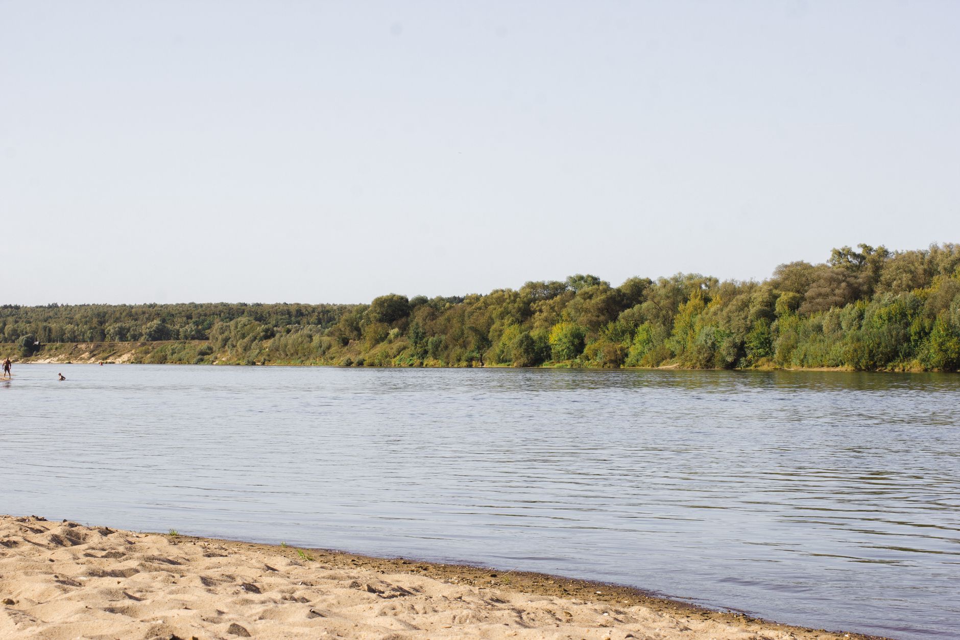 Scenery of rippling river water flowing through sandy beach and lush forested shore under blue sky on summer day