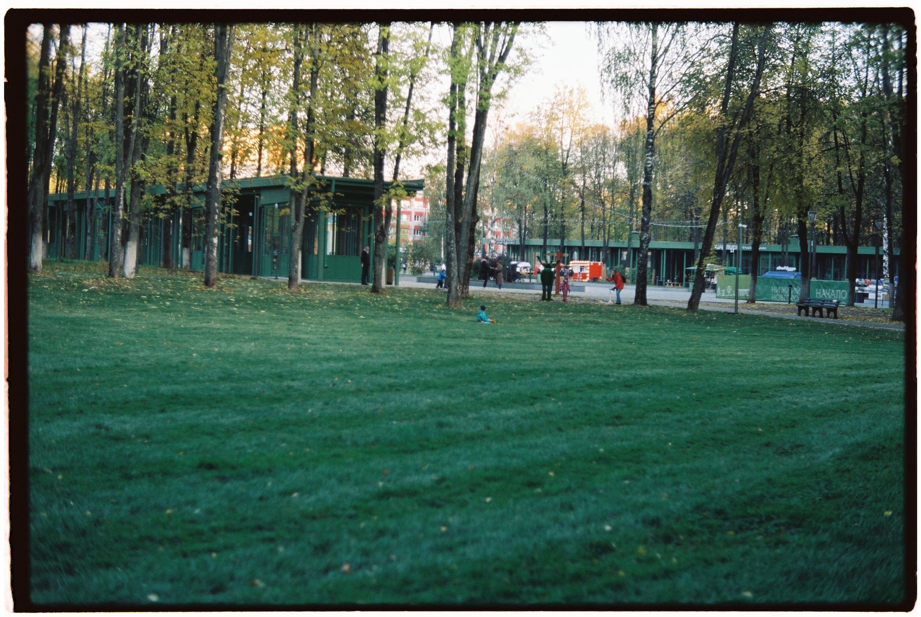 Wide view of a city park with green grass, trees, and people, showcasing tranquility and urban nature.